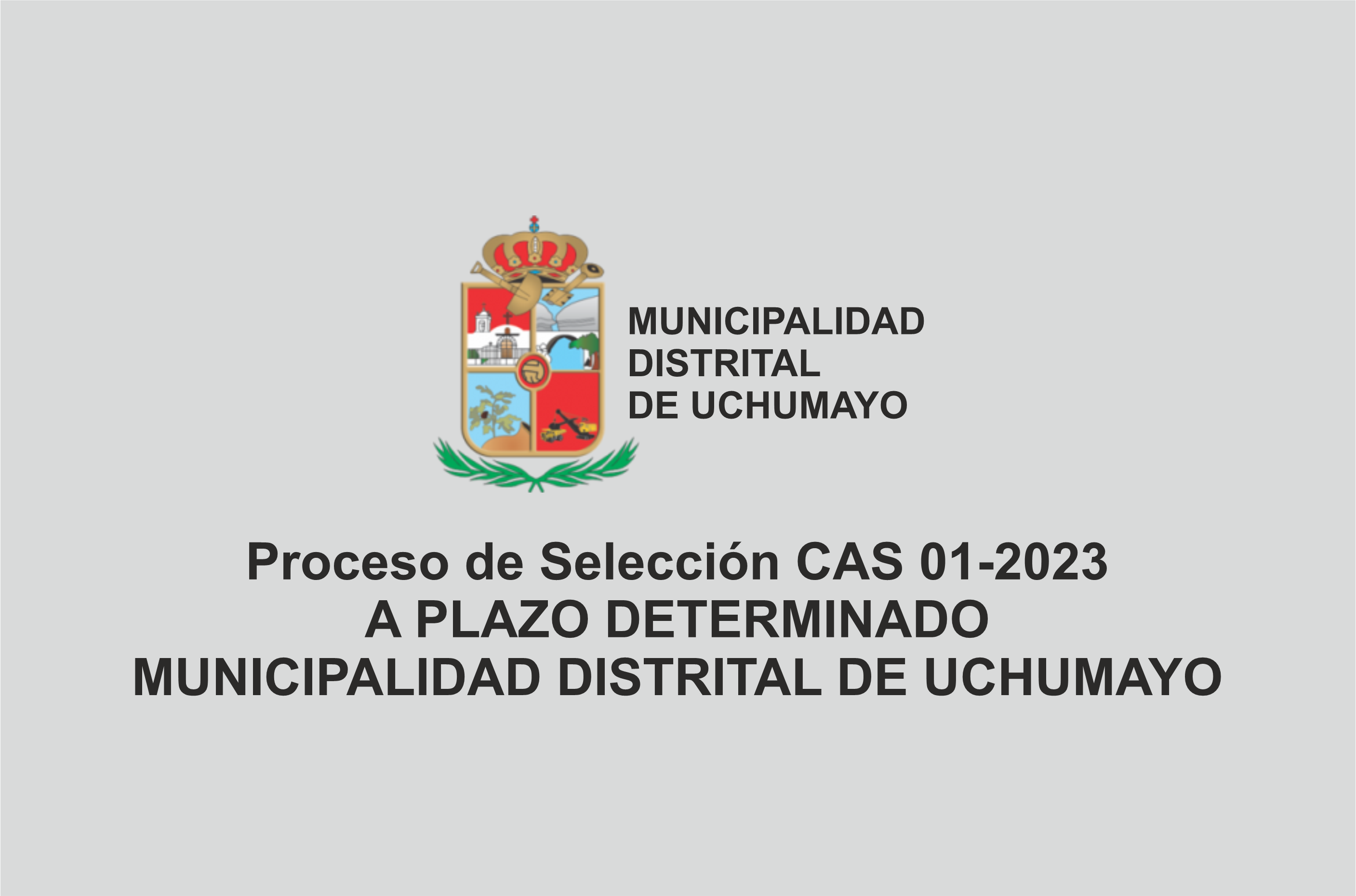 Proceso de Selección CAS 01-2023 A PLAZO DETERMINADO MUNICIPALIDAD DISTRITAL DE UCHUMAYO
