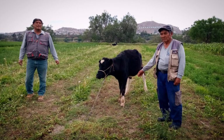 ¡Grandes logros en la ganadería! 