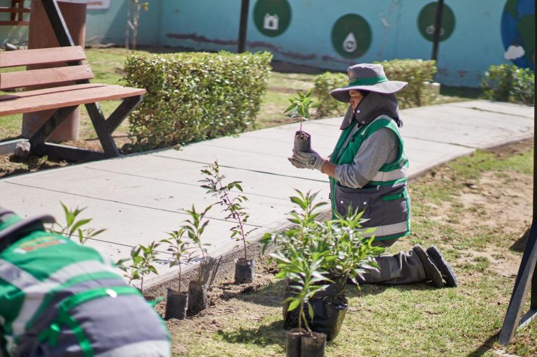 Continua con los trabajos de mantenimiento, en diferentes áreas verdes
