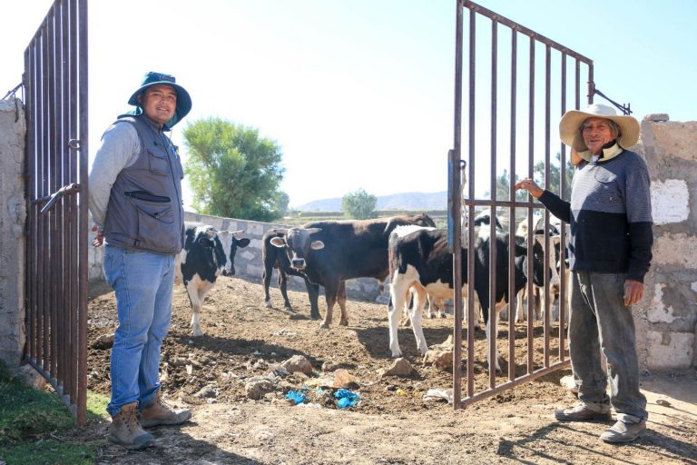 Asistencias técnicas, capacitaciones agrícolas y veterinarias
