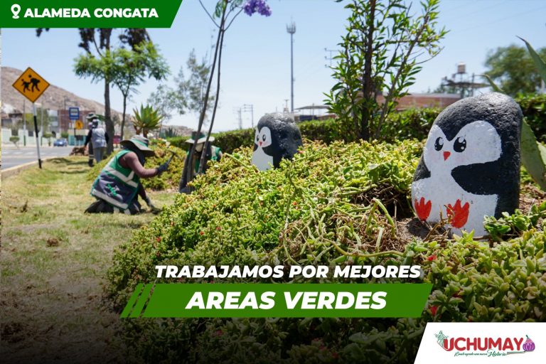 REALIZAN EMBELLECIMIENTO A LAS ÁREAS VERDES DEL DISTRITO
