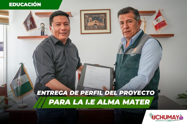 ENTREGA DE PERFIL DEL PROYECTO PARA LA I.E. ALMA MATER