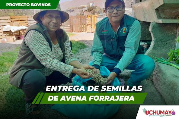 Entrega de semillas de avena forrajera a los beneficiarios del distrito